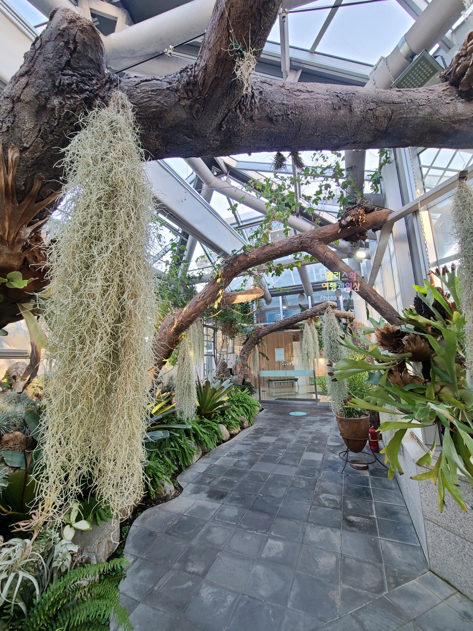 경주 동궁원 식물원 스카이워크 경주 가볼만한곳