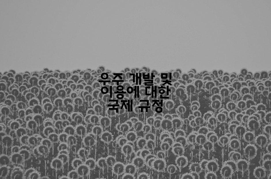 우주 개발 및 이용에 대한 국제 규정