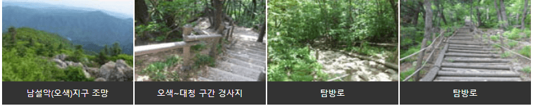 공룡오색