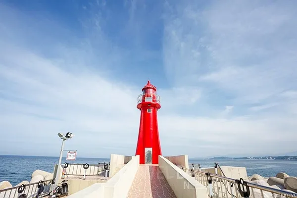 속초 대포항 맛집 추천 회센터 근처 인기 식당 리스트_6