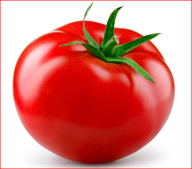 2024 화천 토마토축제 행사일정 확인하기