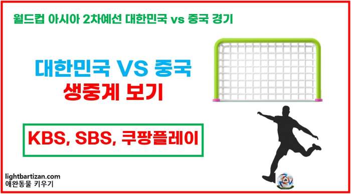 월드컵 아시아 2차 예선 중계 시청방법