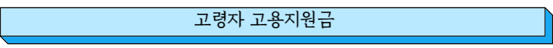 고령자 고용지원금