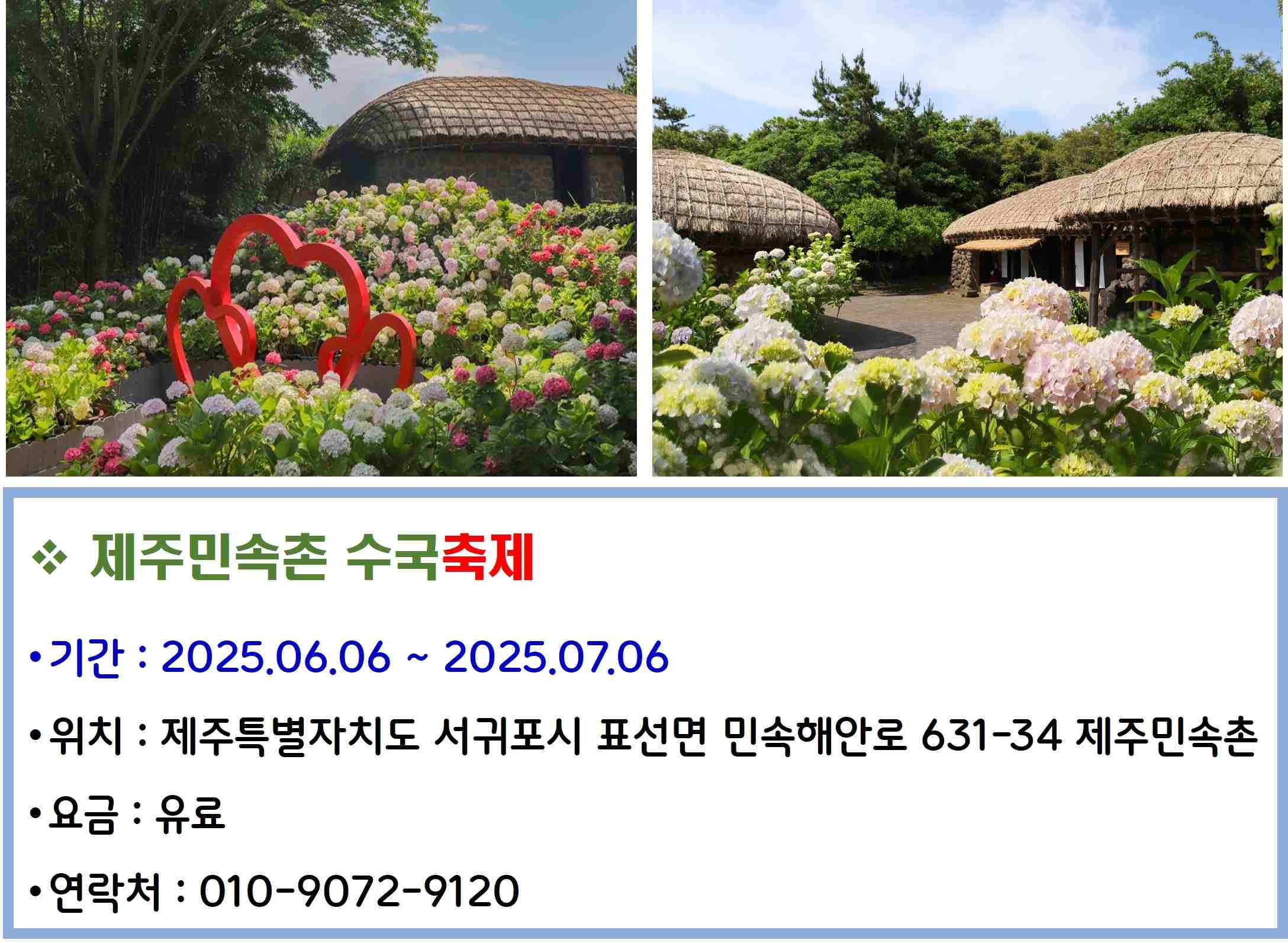 제주민속촌 수국축제