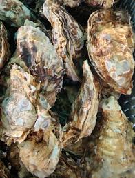 6시내고향 사천 굴구이맛집 펜션 예약 완벽 가이드