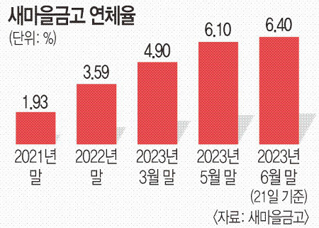 새마을금고 뱅크런