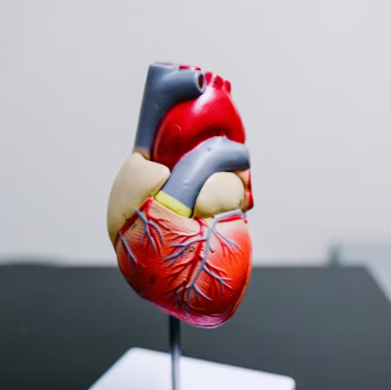 고혈압 증상 원인 예방법 생활습관