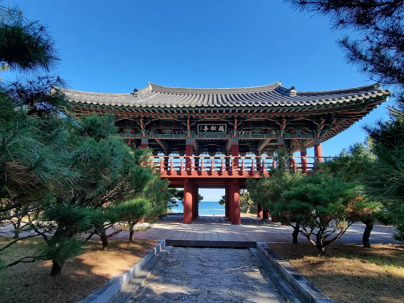 울진 가볼만한 곳 월송정 