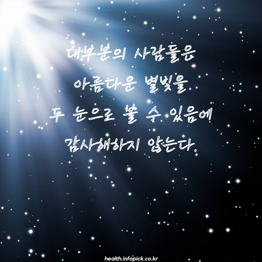 캘리그라피 짧고 좋은 글귀 명언 문구 모음 이미지