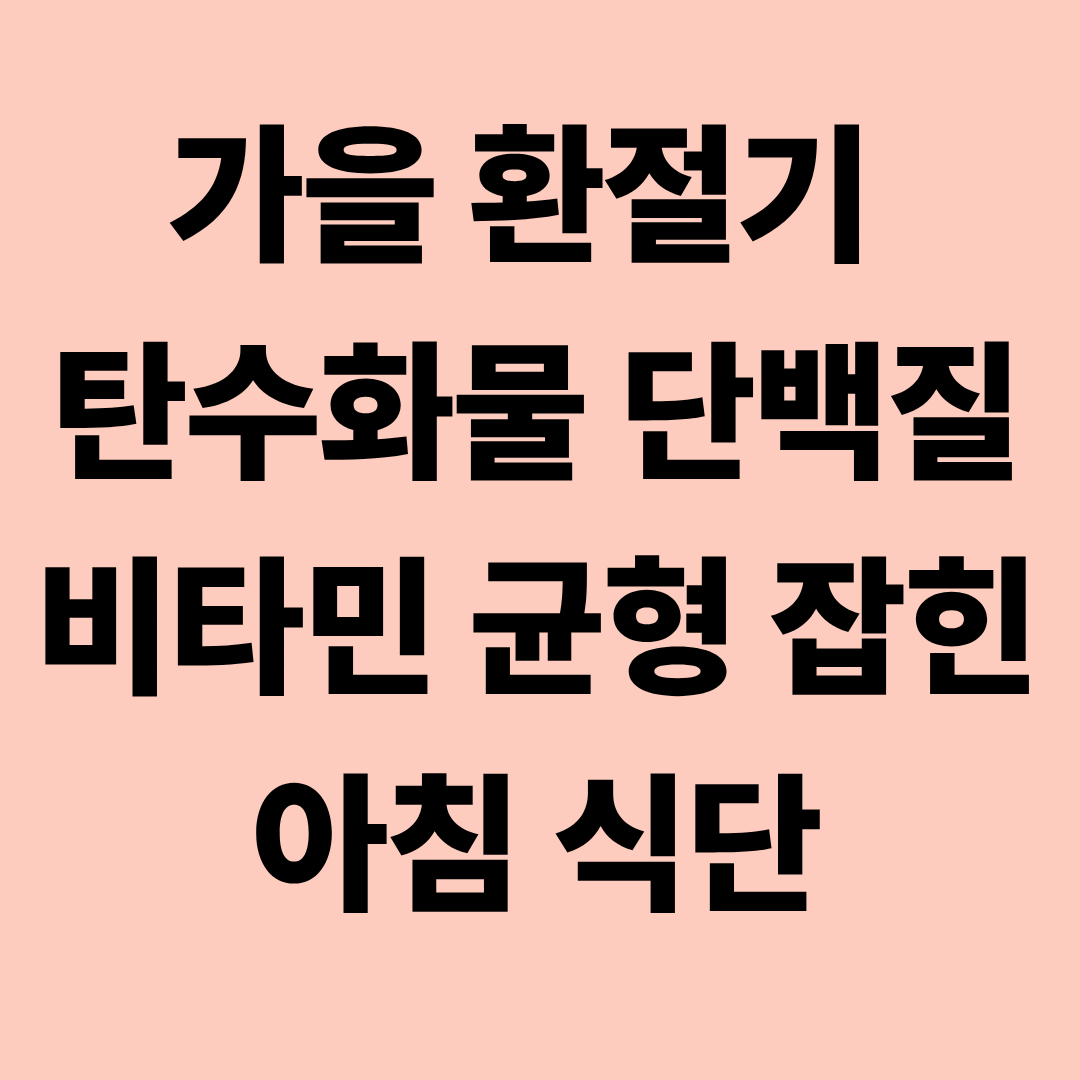 가을 환절기 탄수화물 단백질 비타민 균형 잡힌 아침 식단