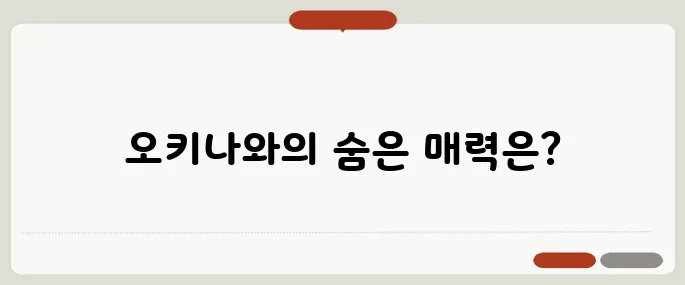 오키나와 여행 자유일정 필수 코스