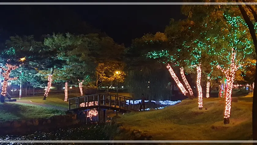 영광 불갑산 상사화축제