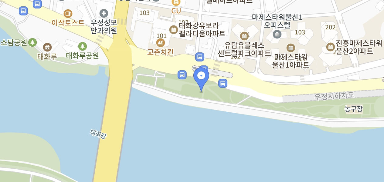 태화강마두희축제