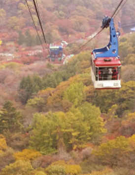 내장산 케이블카 요금 및 시간