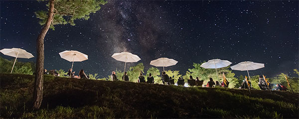 별빛 반딧불이 축제