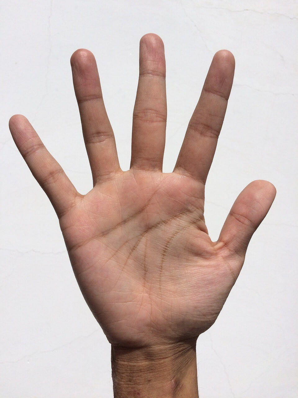 손금 보는법 재물운 생명선