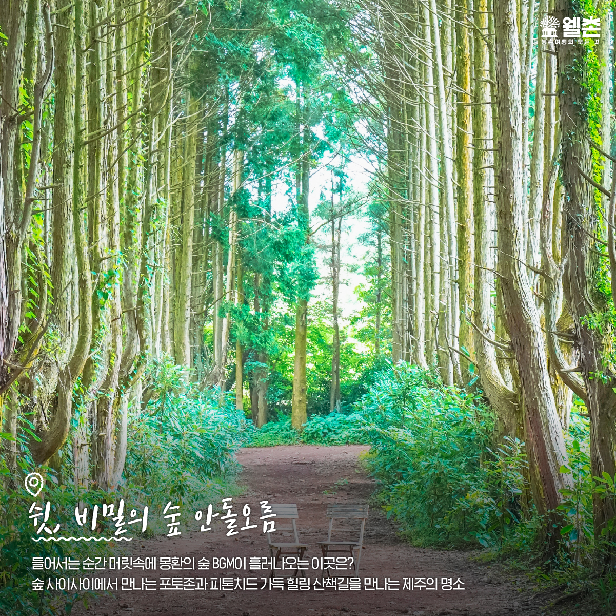 제주 농촌 여행지