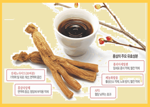 홍삼 효능