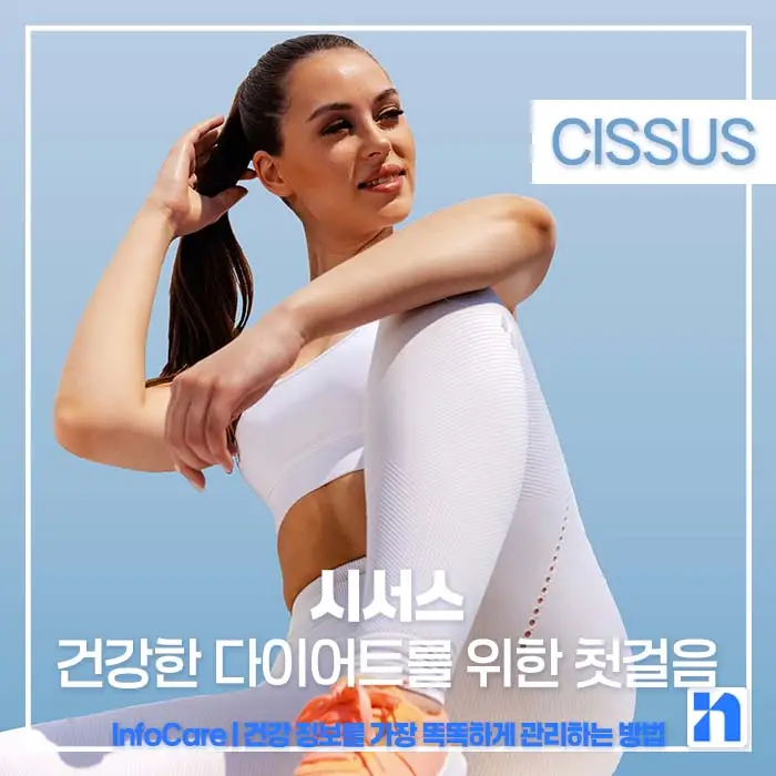 시서스 효능, 다이어트, 복용법