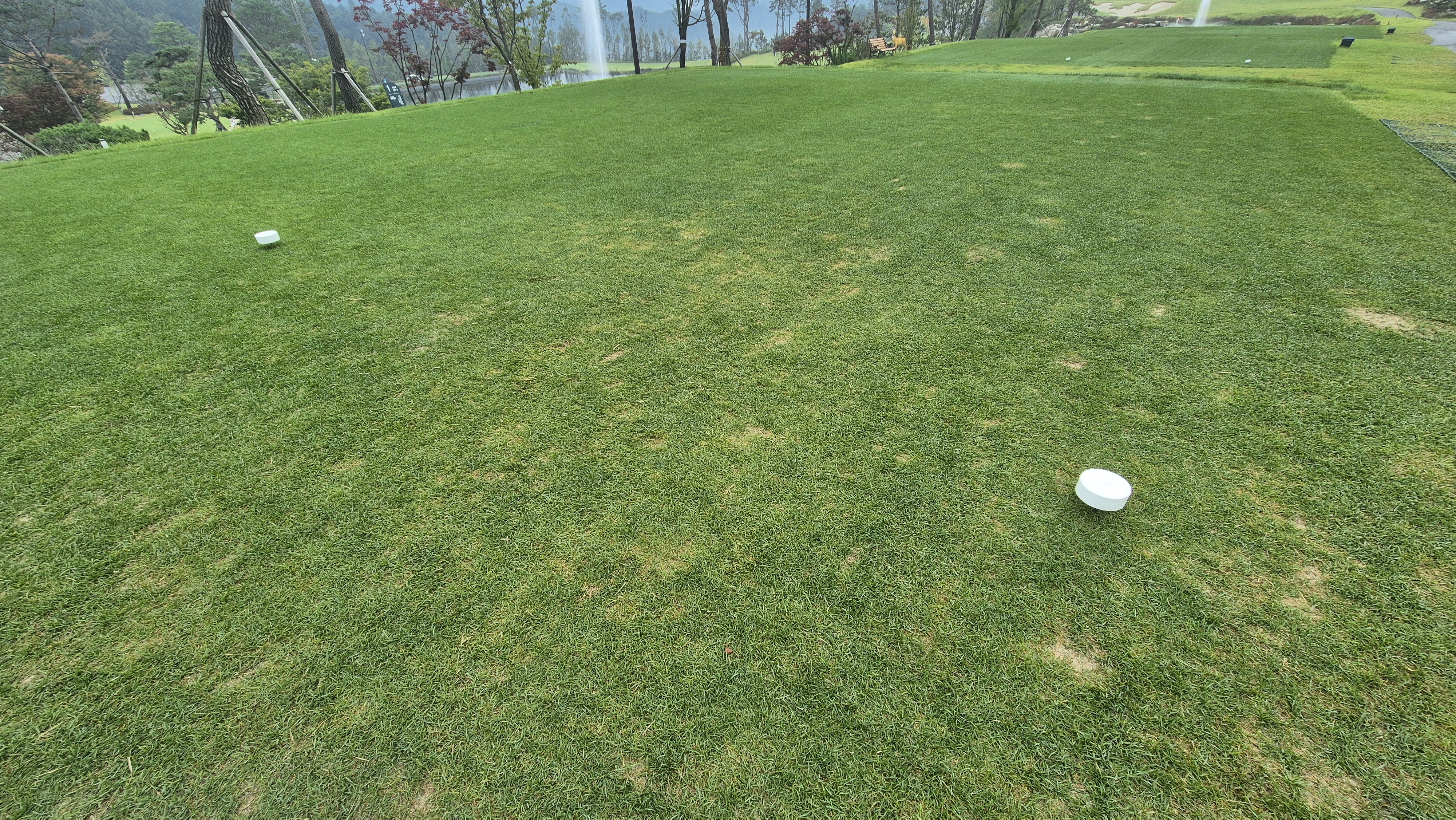 오로라cc 티잉구역 상태