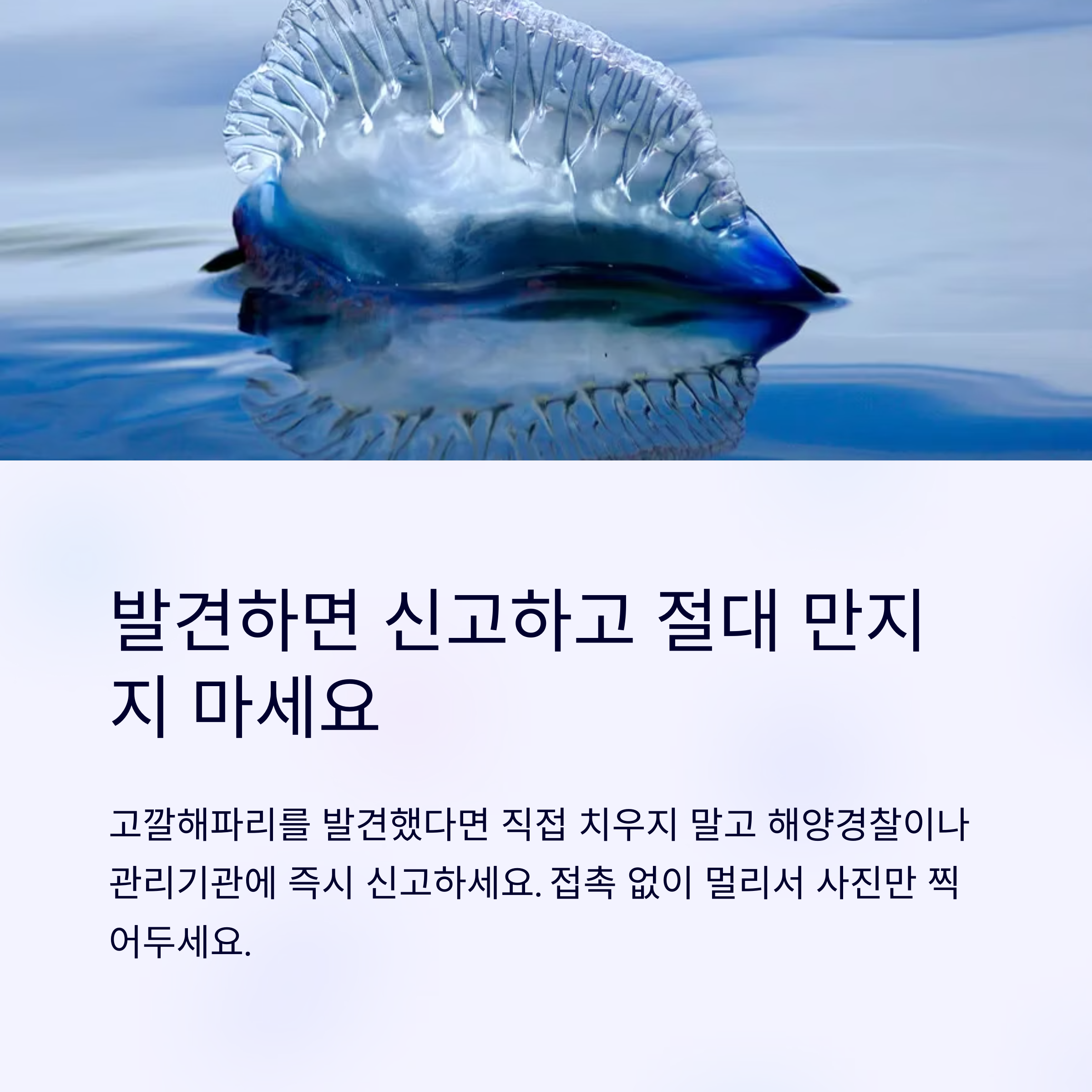 발견 즉시 신고 만지지 않기