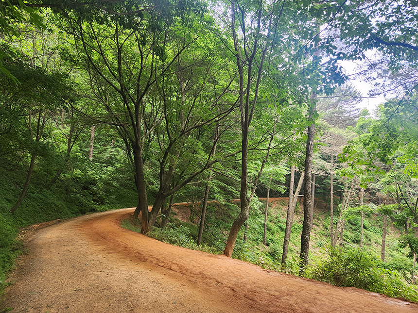 계족산 황토길 트레킹