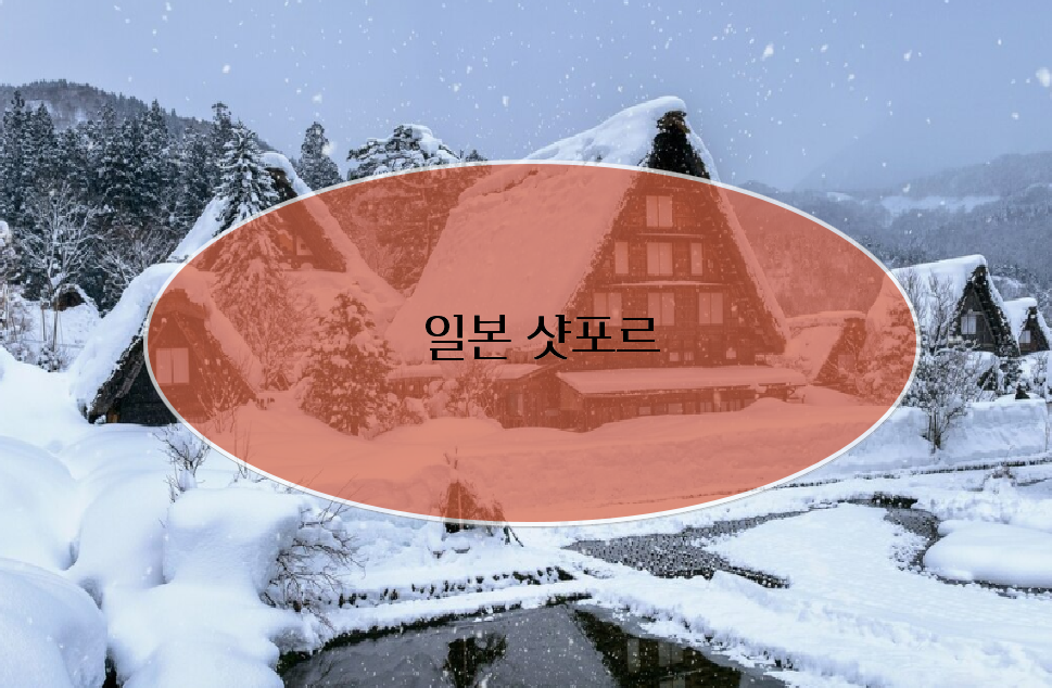 크리스마스 가족여행 추천 - 5. 일본 삿포로