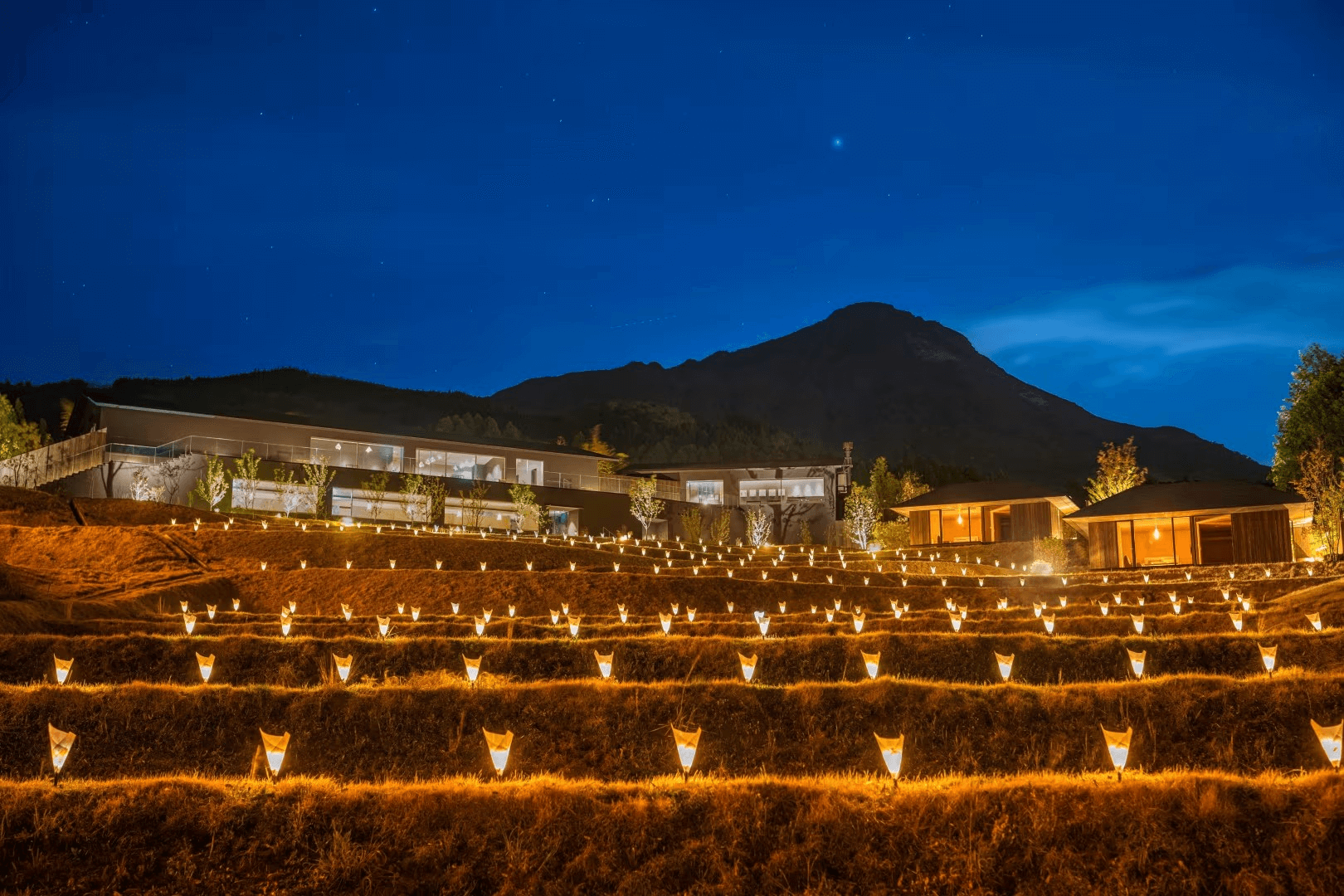 밤하늘 아래 유후다케 산과 카이 유후인의 조명, 계단식 논에 비치는 따뜻한 빛들이 장관을 이루는 모습.