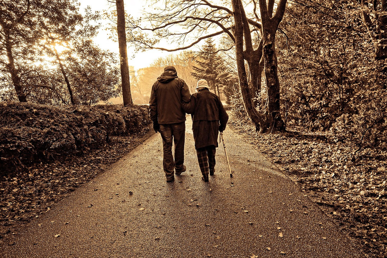 장애인 취업성공패키지 참여