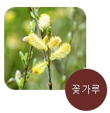 알레르기 종류, 꽃가루