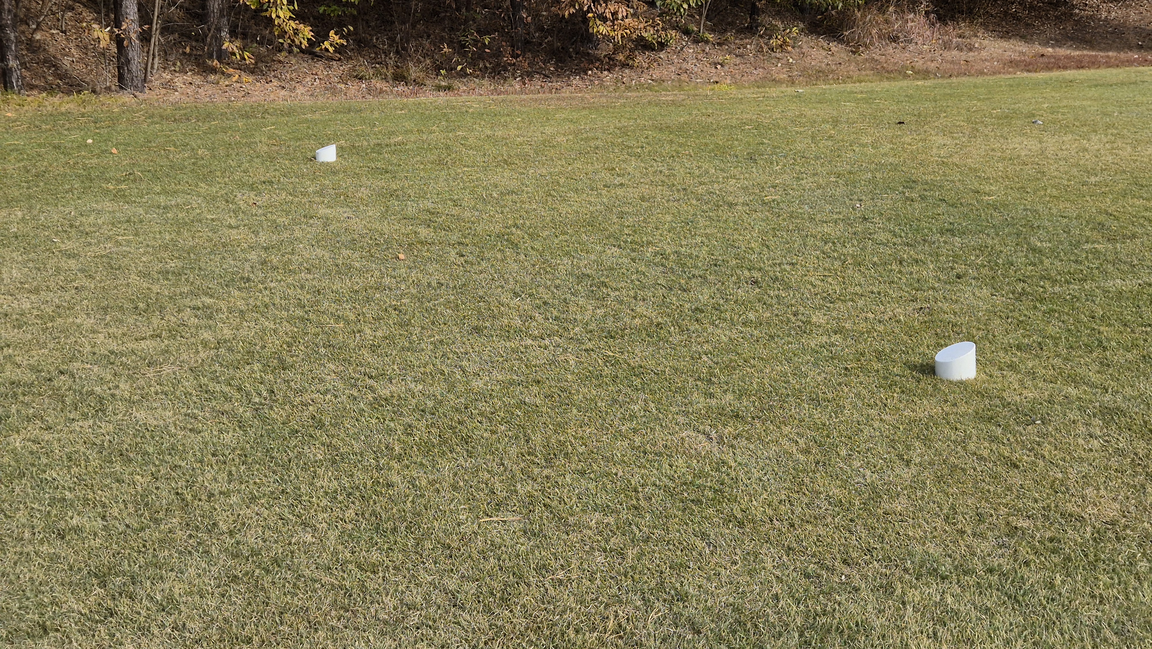 세종에머슨cc 밸리-마운틴 코스 티잉구역 상태