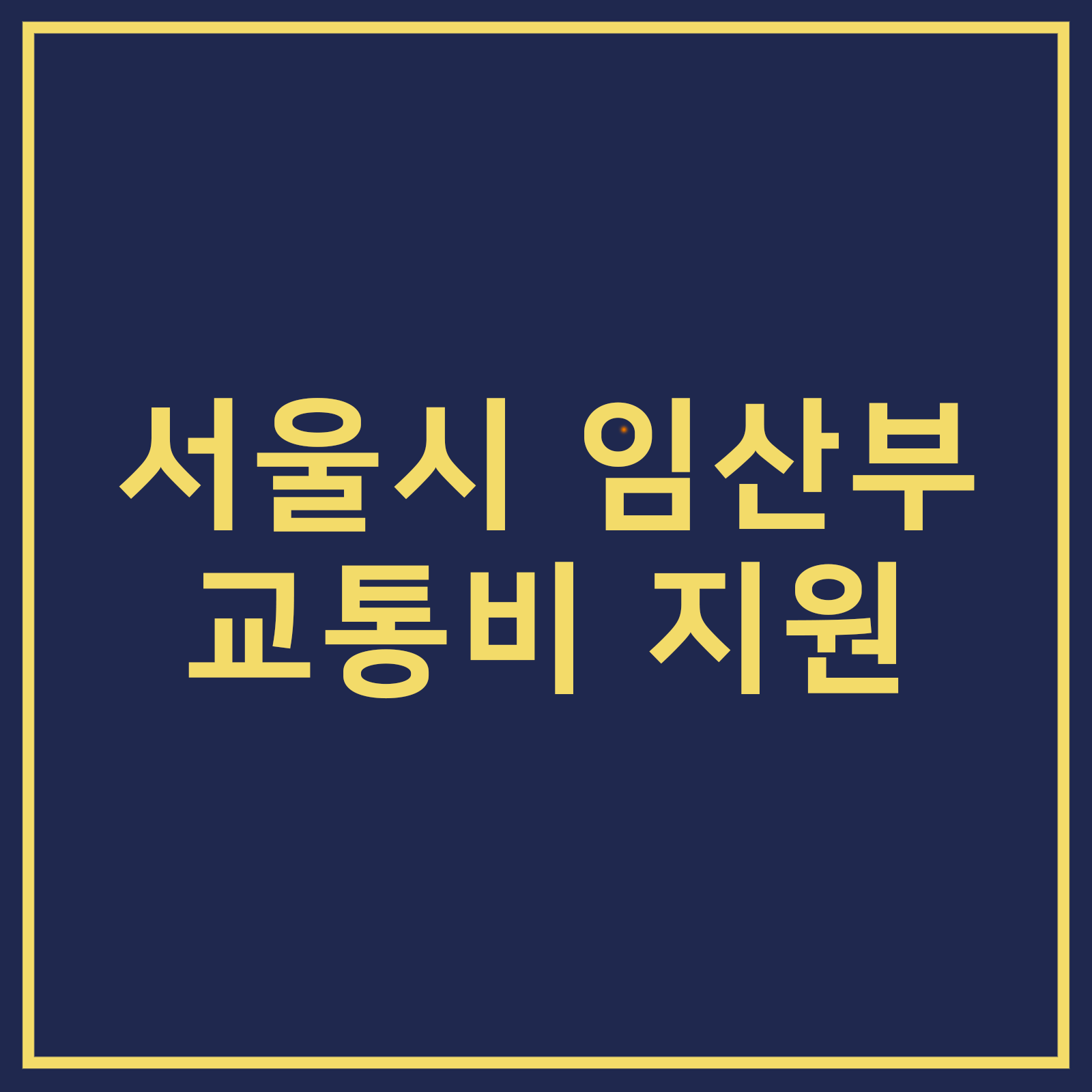 서울시 임산부 교통비 지원