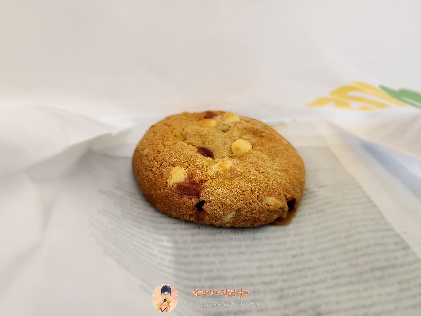 라즈베리 치즈케익