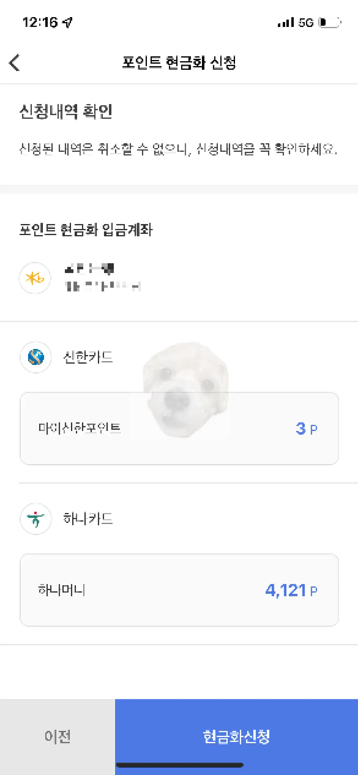 어카운트인포 잔여 포인트 현금화 신청사진