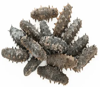 해삼 손질법 해삼보관법 제철 탕 레시피_3