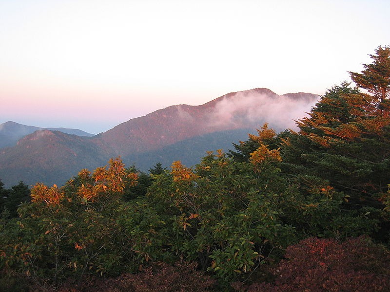 지리산 가을 숲의 매력과 단풍 절정 시기