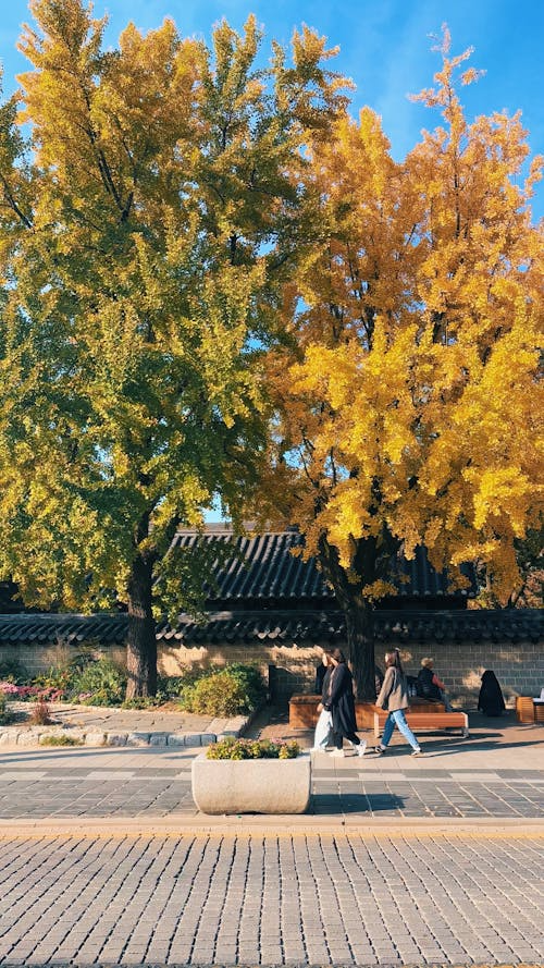 전북 완주에서 배우는 진짜 ‘슬로 라이프’