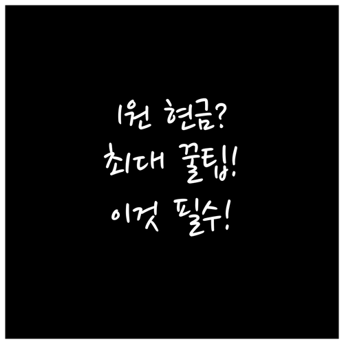 신용카드 포인트 현금화 비율 1포인트..