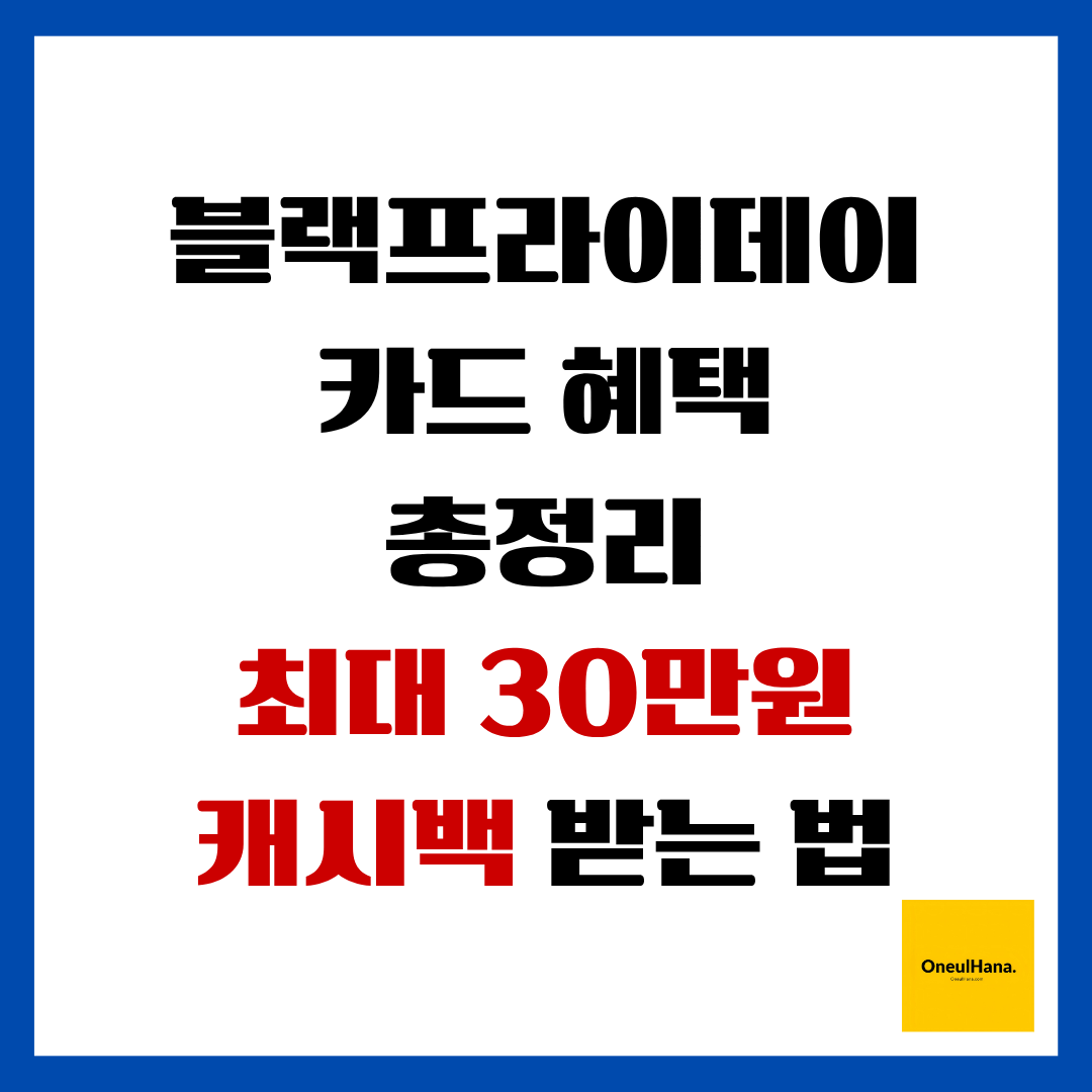 블랙프라이데이 카드혜택 총정리