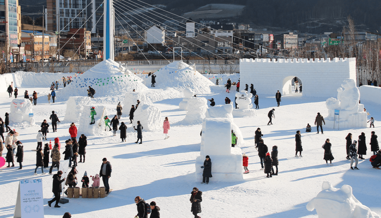2024년 2월 강원도 여행 축제 갈만한 곳 추천