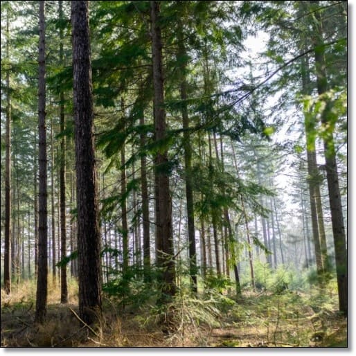 개별공시지가조회