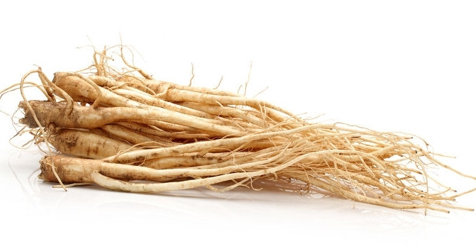 기관지에 좋은 음식 - 도라지