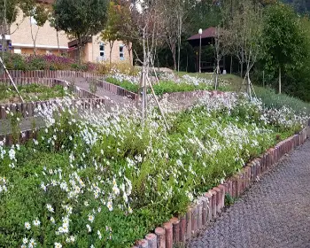국립자연휴양림 성수기 추첨 신청 예약_13