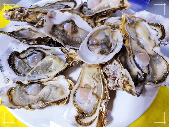 전복 활전복 전복찜 횟집 손질 포장 가능 청량리 제기동 맛집 추천