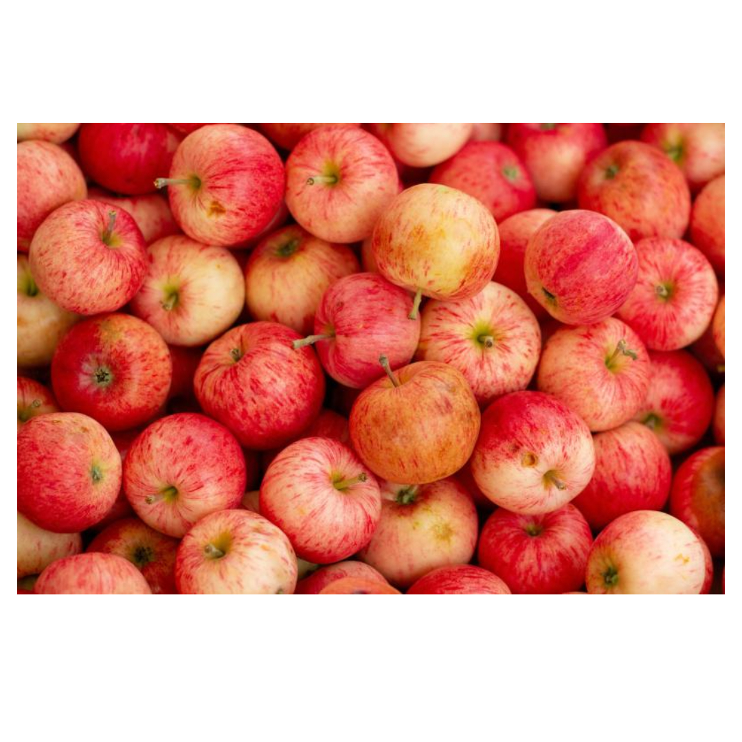 변비에 좋은 음식과 관련된 사진입니다.