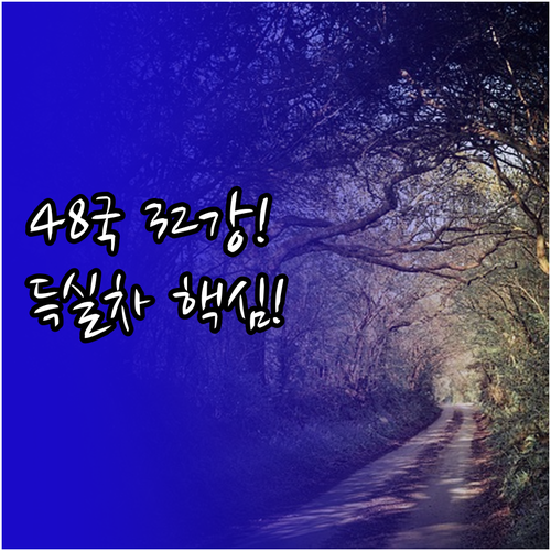 월드컵 48개국 확대 32강 진출 규..