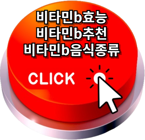 비타민b효능, 비타민b추천, 비타민b음식종류