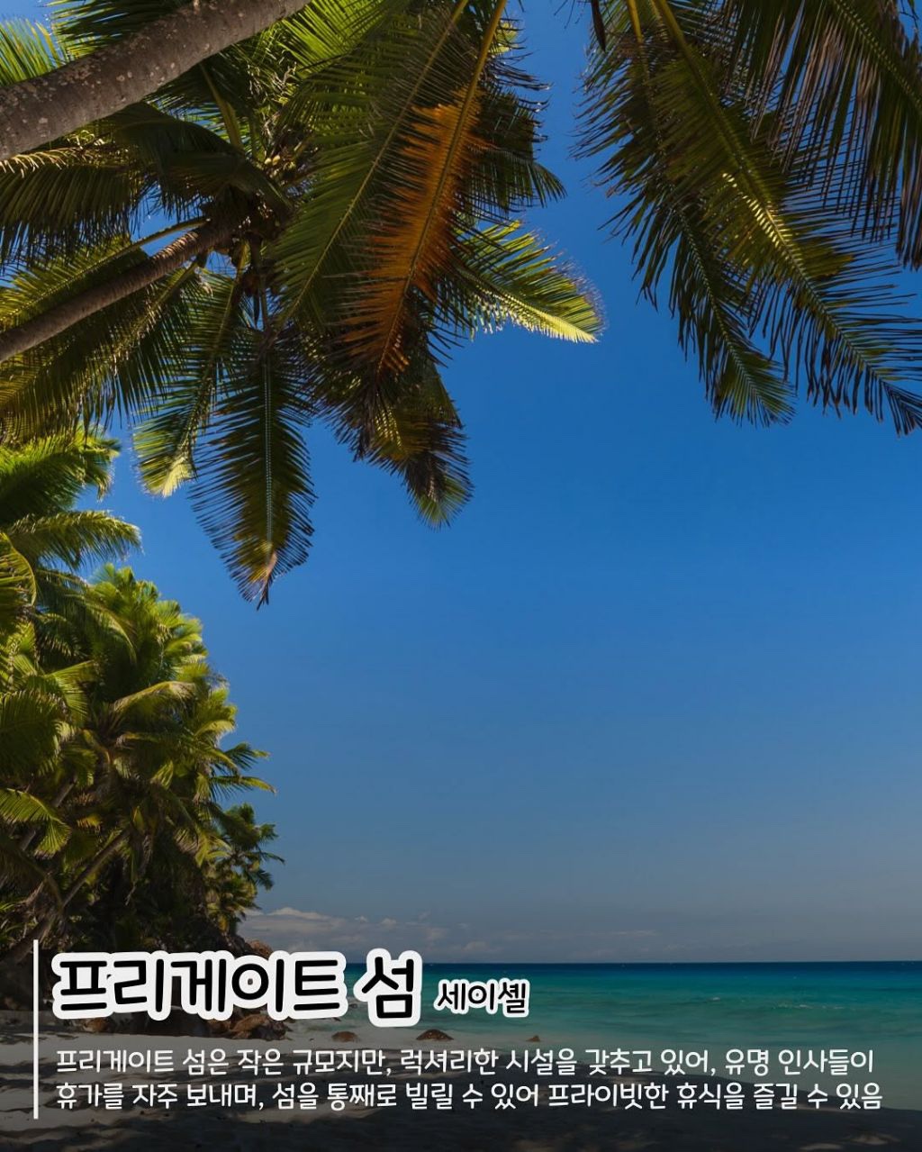 특이한 여행지