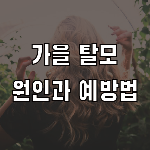 가을 탈모 원인과 예방법