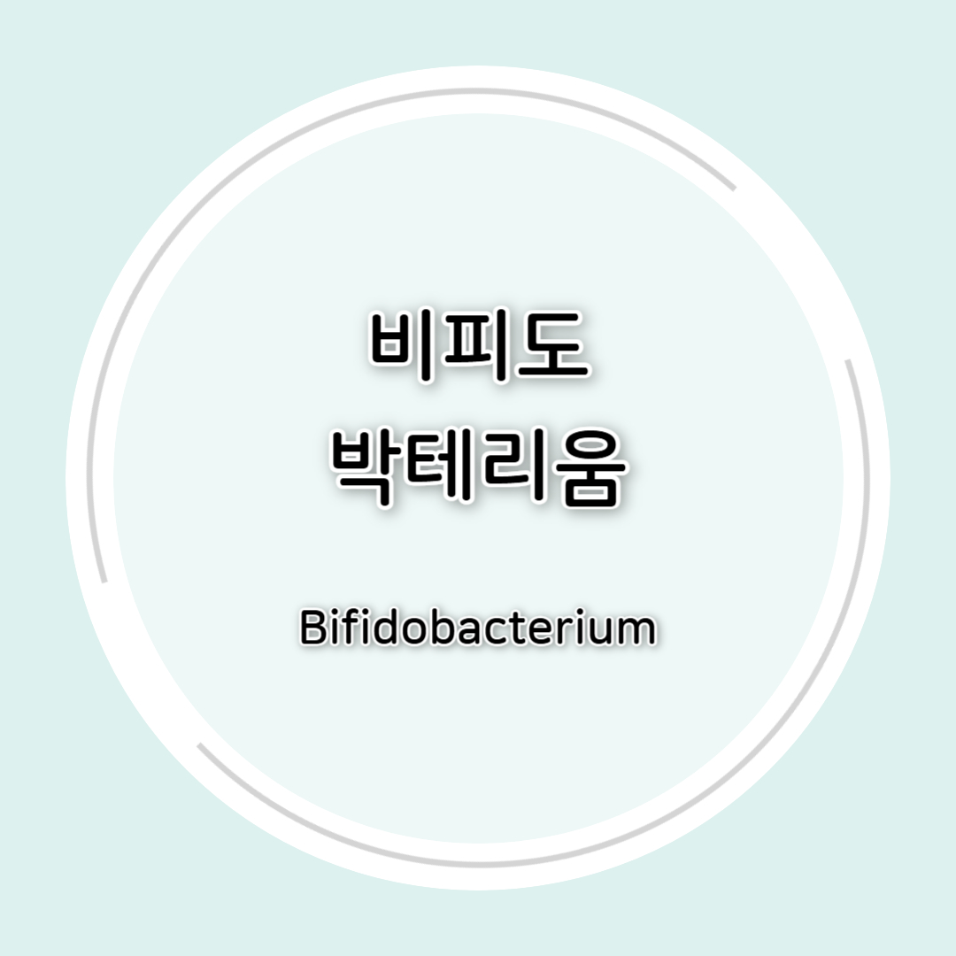 비피도박테리움(Bifidobacterium) 효능 총정리